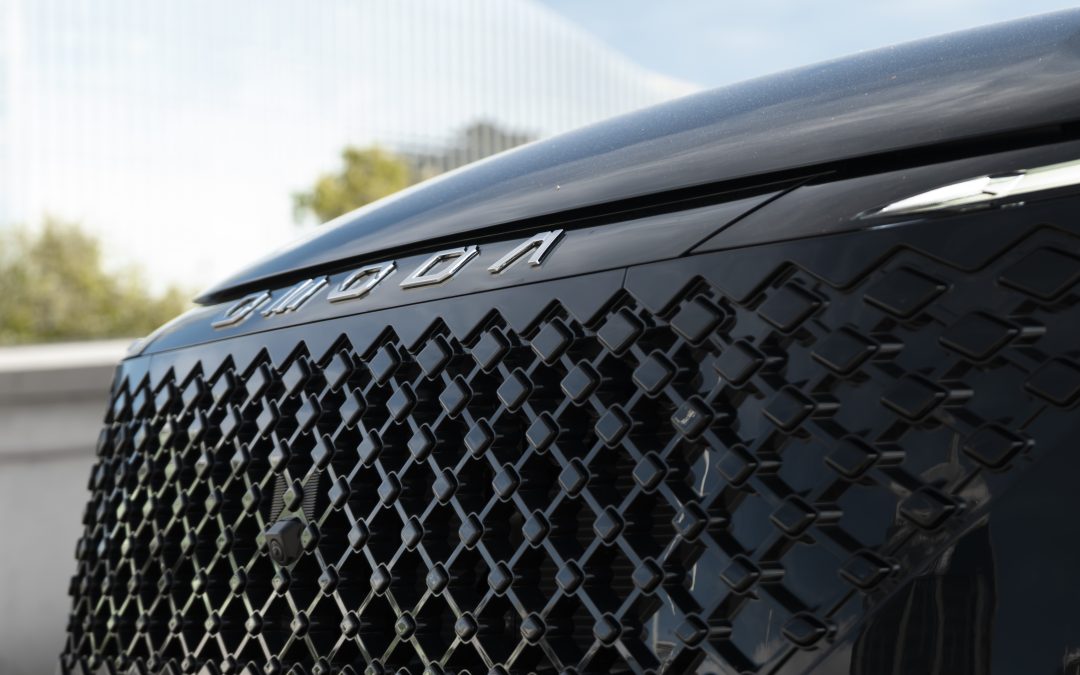 Beat the Petrol Price: Hybrid Innovation with SHS